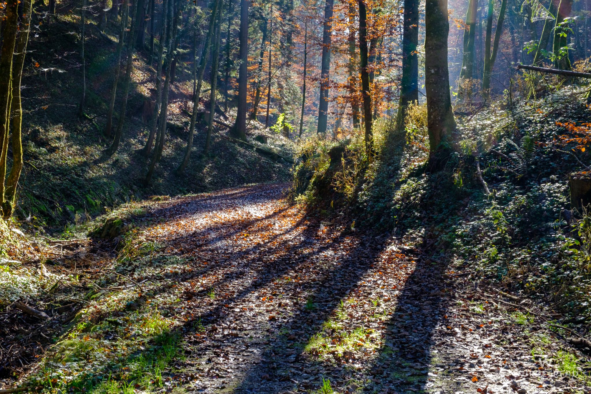 Anstieg Richtung Peretshofener Höhe